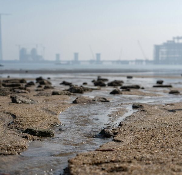 Industry Expansion Vector Summary: 630687195, 965316400, 211453041, 632599191, 2080514909, 25285834