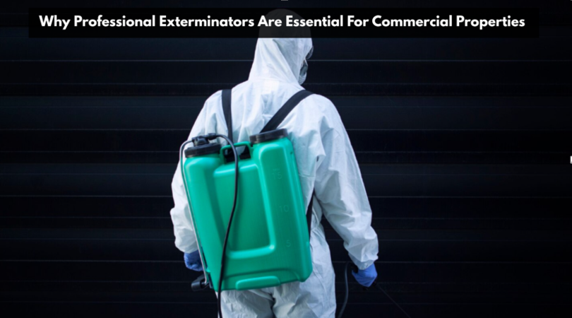 Why Professional Exterminators Are Essential For Commercial Properties