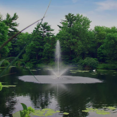 Pump Curves Explained: The Key to Getting Your Fountain Flow Right