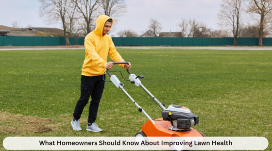 What Homeowners Should Know About Improving Lawn Health
