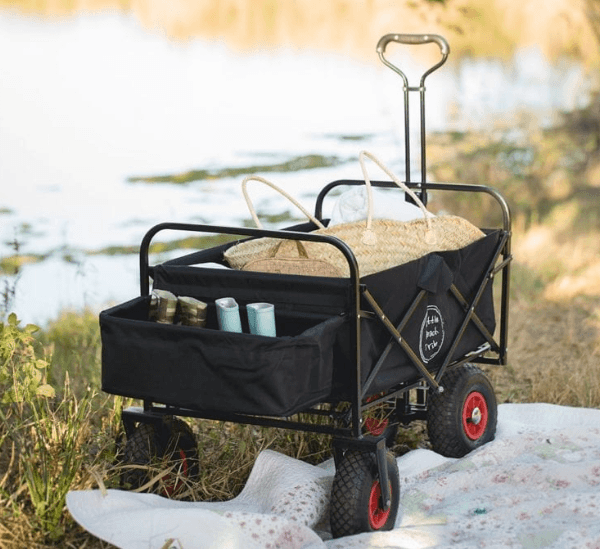 Should You Bring a Wagon to the Beach? 5 Pros and Cons