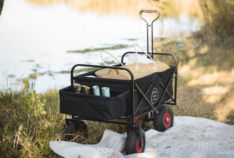 Should You Bring a Wagon to the Beach? 5 Pros and Cons