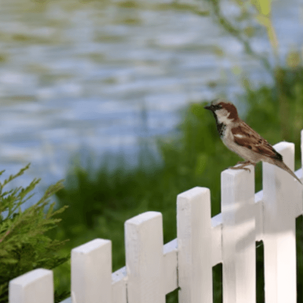 How To Maintain A Fence Post For Long-Term Use