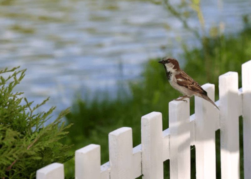 How To Maintain A Fence Post For Long-Term Use