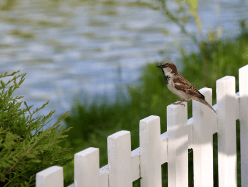 How To Maintain A Fence Post For Long-Term Use