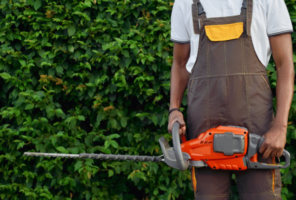 How Lawn Services In Oldsmar Can Transform Your Outdoor Space