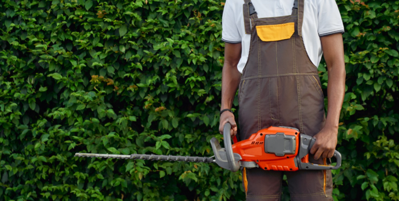 How Lawn Services In Oldsmar Can Transform Your Outdoor Space